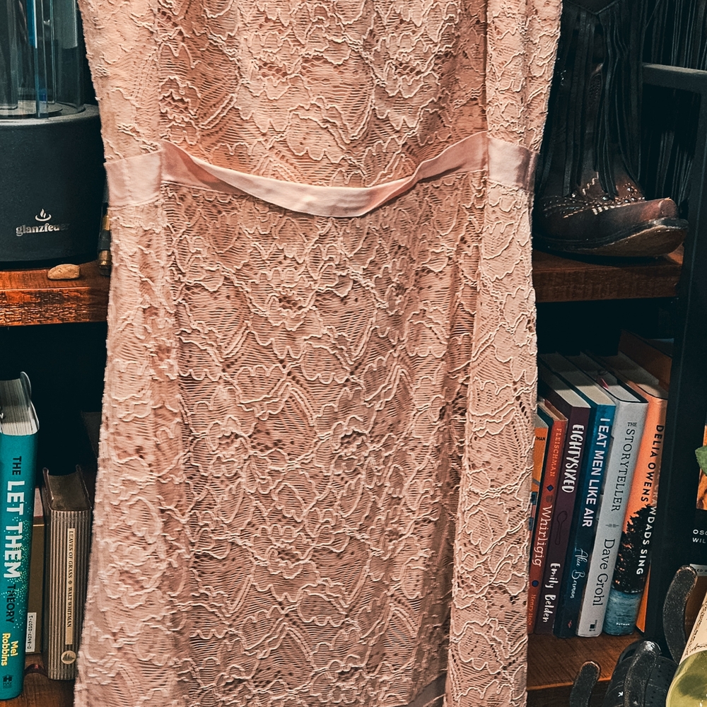 Elegant Pink Lace Dress
